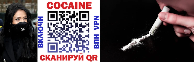 COCAIN Fish Scale  дарнет шоп  Камбарка 